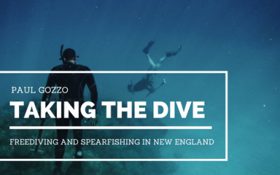 Taking the Dive: Freediving and Spearfishing in New England