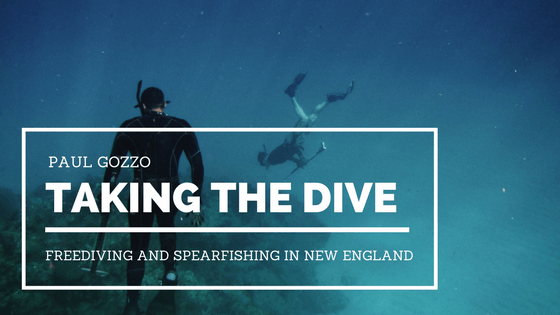 Taking the Dive: Freediving and Spearfishing in New England