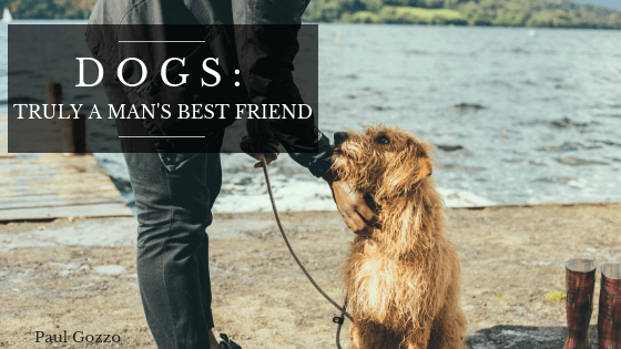 Dogs: Truly a Man’s Best Friend